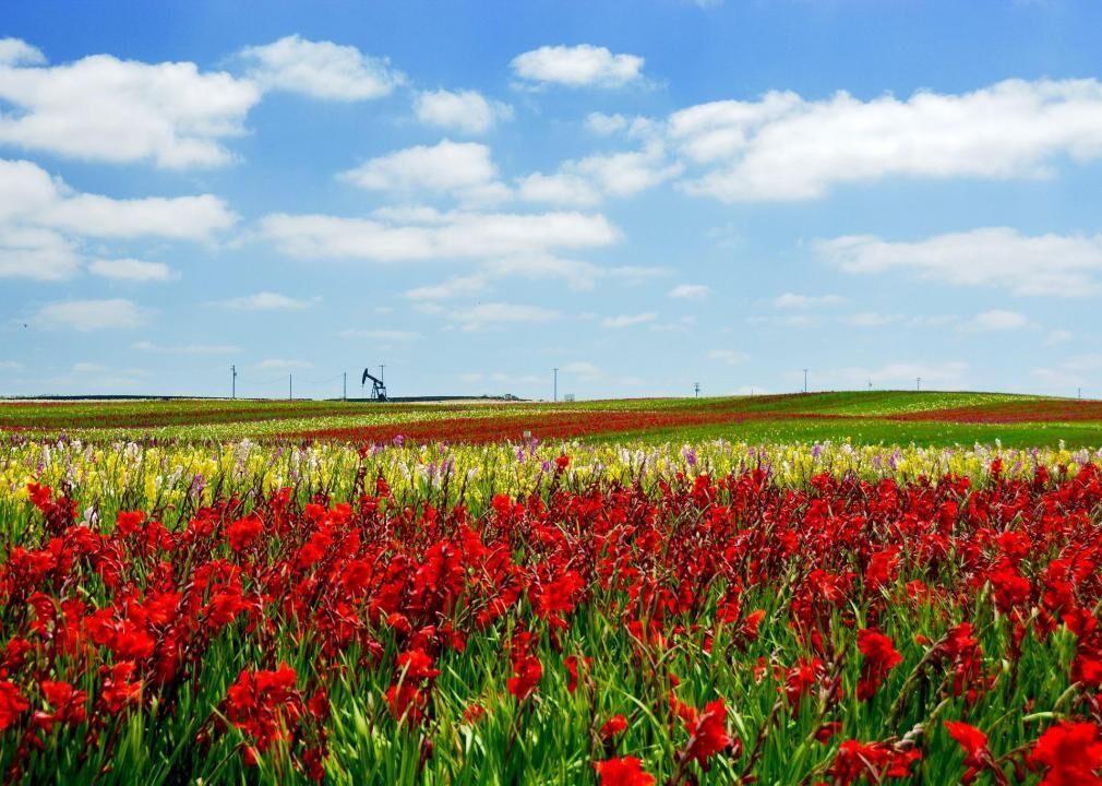 #1. Santa Maria, California